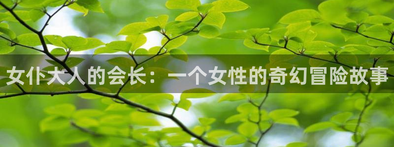 58动漫在线观看：女仆大人的会长：一个女性的奇幻冒险故事