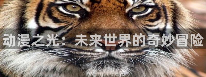 58动漫网站官网免费：动漫之光：未来世界的奇妙冒险
