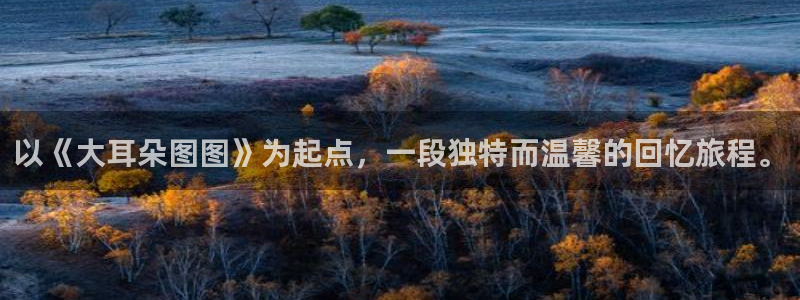 免费58动漫：以《大耳朵图图》为起点，一段独特而温馨的回忆旅程。