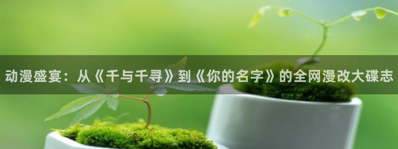 58动漫网页版：动漫盛宴：从《千与千寻》到《你的名字》的全网漫改大碟志